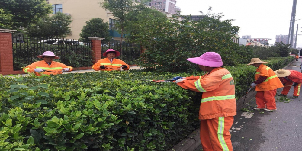 新站區(qū)道路清掃保潔、綠化管養(yǎng)項目