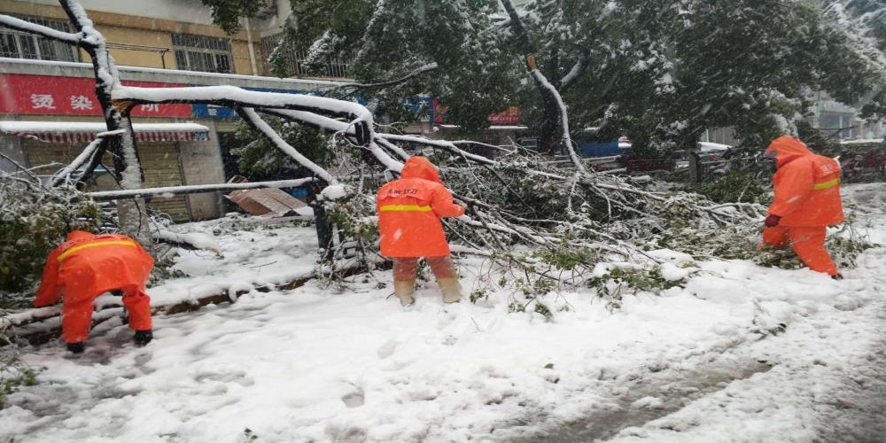 新站區(qū)道路清掃保潔、綠化管養(yǎng)項目