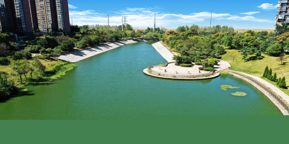 合肥市廬陽(yáng)區(qū)中鐵濕地公園綠化養(yǎng)護(hù)