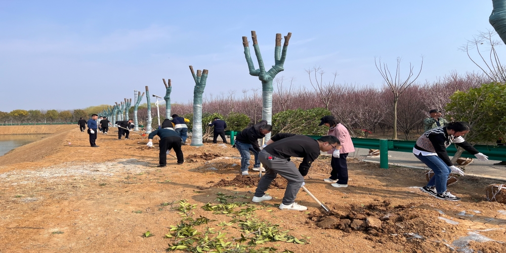 黨建引領共植綠 凝心聚力譜新篇 ——和合生態(tài)、德嘉置業(yè)黨支部赴小廟基地義務植樹